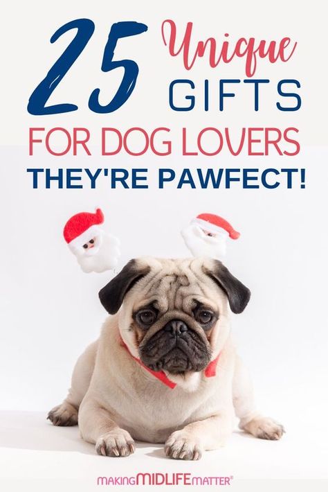 Presents For Dog Lovers, Pet Parent Gifts, Dog Best Friend, Gifts For Dog Lovers, My Gift, Dog Christmas Gifts, Motivational Gifts, Puppies Funny, Gifts For Dog Owners