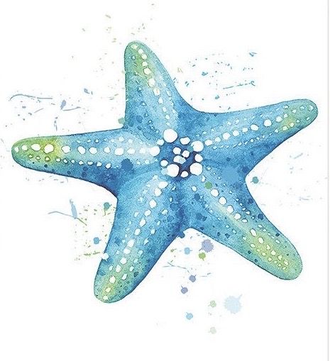 Sea Star Watercolor, Beachy Digital Art, Sea Turtle Watercolor Painting Tutorial, Marine Life Drawing Simple, Nautical Watercolor Painting, Watercolour Sea Animals, Sea Drawing Ideas Ocean, Sting Ray Watercolor, Star Fish Drawings