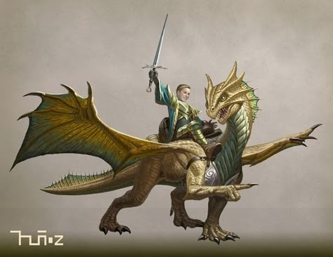 Drake Warden Ranger, Ranger Dnd, Types Of Dragons, Legendary Dragons, Bronze Dragon, Dungeons And Dragons Art, D D Monsters, Dnd Dragons, Dragon Sketch