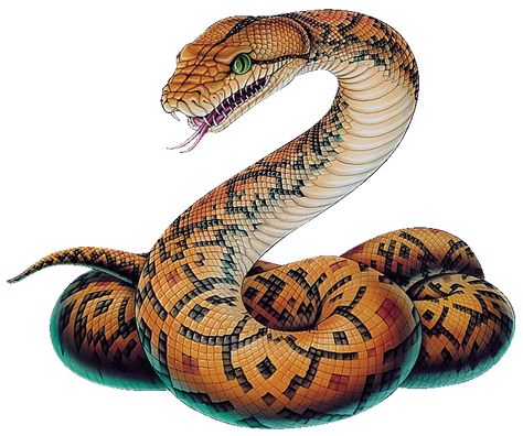 snake pictures - Google Search Python Drawing, King Cobra Snake, Snake Drawing, Snake Tattoo Design, Cobra Snake, Python Snake, Snake Art, Dangerous Animals, Beautiful Snakes