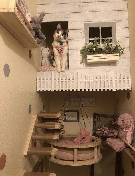 Cat Ceiling, Cat Bedroom, Cat Kennel, Animal Ideas, Outdoor Cat Enclosure, Cat Things, Cat Playground, Exotic Cats, Future Apartment Decor