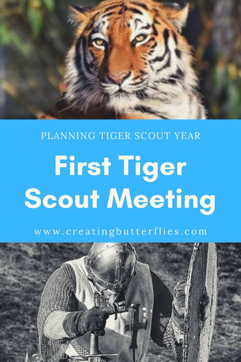 Tiger Scout Crafts, Tiger Scout Activities, Tiger Scout Den Meeting Ideas, Tiger Cub Scouts Activities, Boy Scout Activities, Cub Scouts Wolf, Cub Scouts Bear, Tiger Scouts, Cub Scouts Tiger