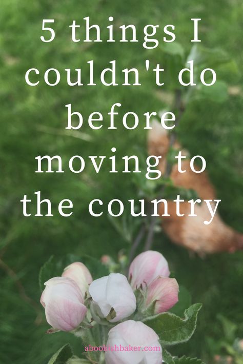 Moving To The Country, Rural Living Country Life, Identifying Trees, Future Farmhouse, Mowing The Lawn, Chopping Wood, Non Fiction Writing, Journaling Tips, Online Stories