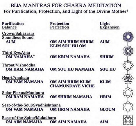 Bija Mantra Chakra, Bija Mantra, Chakra Mantras, Body Chakras, Meditation Mantra, Chakras Meditation, Sahaja Yoga, Indian Philosophy, Science Words