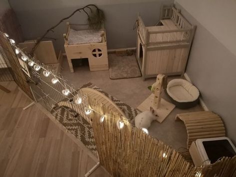 Cute Bunny Setup Ideas, House Bunny Set Up, Bunny Pens Indoor, Small Bunny Enclosure Indoor, Cute Rabbit Enclosure, Bunny Setup Ideas, Bunny Cages Aesthetic, Rabbit Cage Setup Indoor, Bunny Cage Set Up Indoor Rabbit