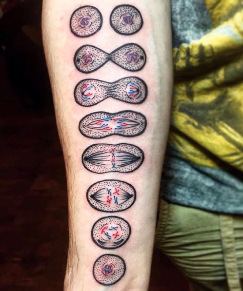 Out of Step Books Publishing on Instagram: “Check out this rad #mitosis #cell splitting #tattoo by @evedoestattoos at @black_iris_tattoo! Super cool piece and perfect for all of you #biology and science nerds! Viva la Creativity! ” Biology Tattoo, Science Tattoo, Science Tattoos, Iris Tattoo, Different Tattoos, Black Iris, Get A Tattoo, Love Tattoos, Unique Tattoos