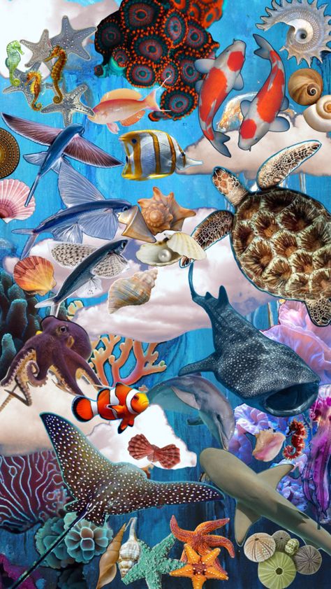 Hippie Wallpaper, Zoology, Sea World, Sea Animals, Marine Life, Under The Sea, The Sea, Fish, Collage