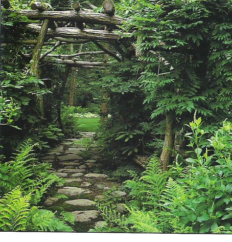 Backyard Woods, Forest Farming, Rustic Arbor, Rustic Pergola, Urban Garden Design, Rogers Gardens, Ferns Garden, Halloween Garden, Stone Path