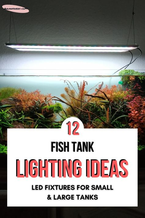 Find out how to choose the LED aquarium lighting that will fit your fish tank best. Learn what your new lights should be cabale of and get ideas with the top 12 products in the branch. Aquarium Lighting Ideas, Outdoor Fish Tank, Aquarium Hood, Lighting Units, Saltwater Fish Tanks, Fish Tank Lights, Aquarium Light, Aquarium Heater, Led Aquarium