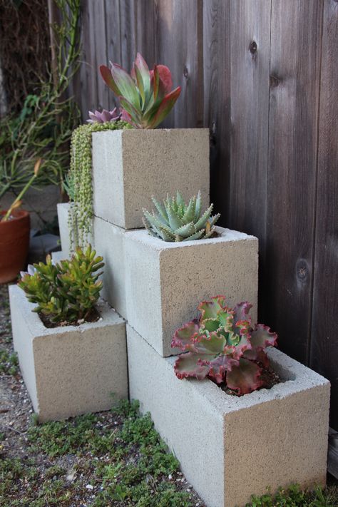 Cinderblock Planter, Cinder Block Garden Wall, Cinder Block Planter, Deco Garden, Small Flower Gardens, Cinder Block Garden, Tiered Planter, Seaside Garden, Walled Garden