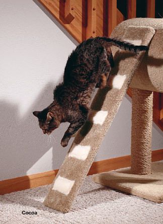 Products for senior cats Cat Trees Homemade, Cat Ramp, Cat Furniture Design, Cat Tree House, Cat Wall Furniture, Cat Ages, Tree Furniture, Window Sills, Older Cats