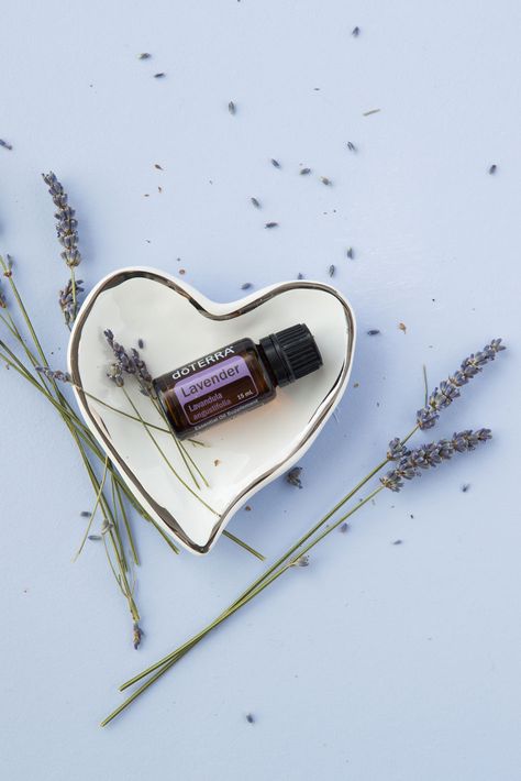 Lavender Oil Uses, Aromatouch Technique, Doterra Lavender, Essential Oils For Babies, Calming Oils, Calming Essential Oils, Essential Oils Health, Oil Diffuser Recipes, Oil Industry