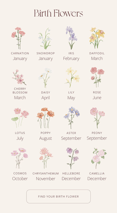 You probably know your zodiac sign…but do you know your birth flower? May September October Flower Tattoo, September And November Flower Tattoo, Brith Flower, August Flower Tattoo, First Tattoo Ideas, December Flower, November Flower, August Flowers, Drawing Of A Woman