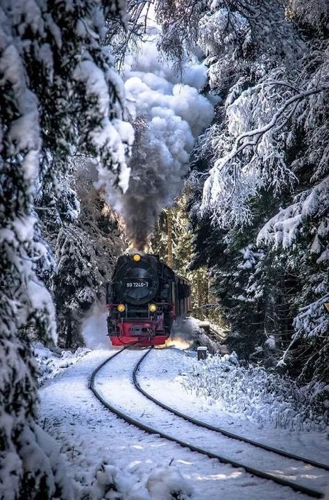 Cer Nocturn, Winter Szenen, Train Art, Train Photography, Old Trains, Train Pictures, Winter Scenery, Winter Beauty, Snow Scenes