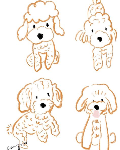 Toy poodle dog illustration by Canigrin Toy Poodle Dog, Poodle Drawing, Poodle Grooming, 강아지 그림, Dog Crafts, Dog Hacks, Cairn Terrier, Poodle Puppy, Happy Things