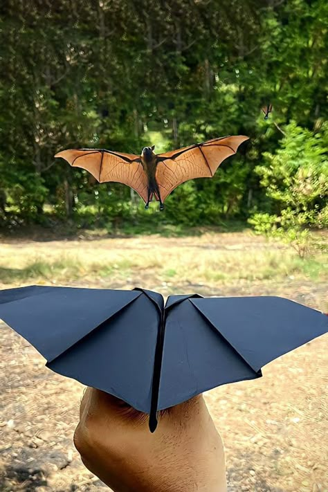 Flapping Paper Airplane, Origami Flying Bat, Paper Flying Bat, Flying Bats Craft, Bat Paper Plane, Paper Flying Crafts, Flying Paper Crafts, Flying Bat Craft, Paper Airplanes How To Make