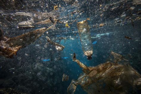 Nets, Plastic, Underwater Crime – How To Stop Ocean Pollution Stop Plastic Pollution, Native American Ancestry, Fish Activities, Marine Pollution, Dangerous Roads, Ocean Pollution, Sustainable Supply Chain, Ocean Fishing, Ocean Conservation