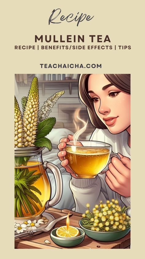 How to Make Mullein Tea (DIY Mullein Tea) Fruit Tea Recipes, Flavored Iced Tea Recipes, Mullein Tea, Herbal Tea Remedies, Iced Tea Recipes Homemade, Hot Tea Recipes, Herbal Drink, Herbal Tea Garden, Tea For Colds