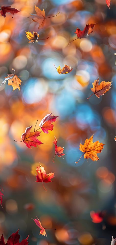 Four Seasons Landscape, Fall Wallpaper Android, Aesthetic Autumn Wallpaper Iphone, Free Wallpaper For Android Phone, Fall Screen Savers, Hello Autumn Wallpaper, Autumn Aesthetic Wallpaper Iphone, Autumn Screensaver, Fall Wallpapers For Iphone