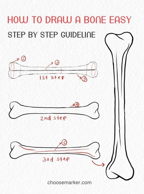 Bone Sketch Simple, Simple Bone Drawing, Bones Drawing Easy, How To Draw Bones, Bone Drawing Simple, How To Draw Skeletons, Animal Bones Drawing, Bone Art Drawing, Simple Skeleton Drawing