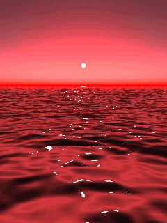 De-NILE IS NOT an EXCUSE ... NOW is the TIME for SALVATION ... Pixel Kawaii, Girl Animation, I See Red, Simply Red, Red Sunset, Rainbow Aesthetic, Photo Wall Collage, Red Sky, Red Wallpaper