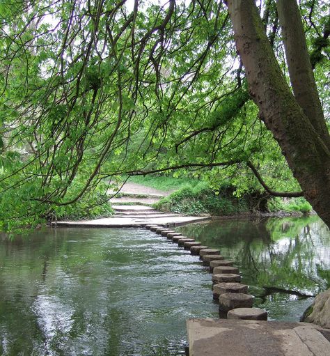 River Mole - Wikipedia Surrey House, Box Hill, Natural Swimming Ponds, Surrey England, Cottage Lake, Natural Playground, Stone Path, River Fishing, Fish Ponds