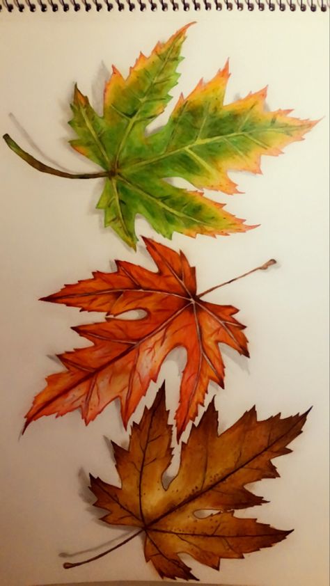 Fall Leaves Colored Pencil, Leaves Drawing Colored Pencil, Pencil Colour Leaf Drawing, Colourful Leaves Painting, Paintings Of Fall Leaves, Fall Color Pencil Drawings, Drawing Ideas With Pencil Colours, Fall Trees Drawing, Autumn Pictures Art