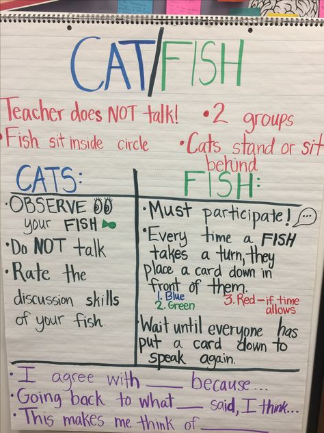 Cat/Fish Socratic Circle AVID Strategy. This is our anchor chart. Jobs/expectations listed under each role, and meaningful conversation starters listed at the bottom. I did this with my third graders over the book Because of Winn Dixie and they did great! Give students a prompt and they will love to discuss it and share their ideas! Socratic Seminar Anchor Chart, Socratic Seminar Elementary, Avid Program, Avid Strategies, Reading Strategies Anchor Charts, Socratic Seminar, Teacher Info, Kindergarten Anchor Charts, Classroom Anchor Charts