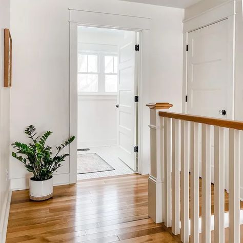 Benjamin Moore Soft Chamois hallway paint Benjamin Moore Chamois, Bm Soft Chamois, Ben Moore Soft Chamois, Soft Chamois Benjamin Moore, Bm Soft Chamois Cabinets, Benjamin Moore Soft Chamois Exterior, Benjamin Moore Soft Chamois, Soft Chamois, Hallway Paint