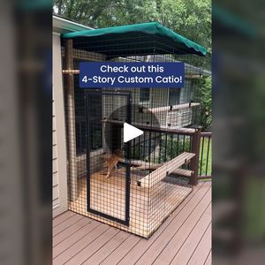 433K views · 4.6K reactions | Safe to say this cat is loving their new outdoor home! 😍

#catios #catiolife #catenclosures #habitathavencatio #habitathaven | Habitat Haven | Habitat Haven · Original audio Asian Recipes, Cat Habitat, Cat Enclosures, Cat Cages, Cat Enclosure, Outdoor Home, Cat Room, Habitat, Audio