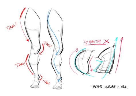 Tb Choi, Leg Anatomy, Anatomy Tutorial, Human Anatomy Drawing, Body Drawing Tutorial, Human Anatomy Art, Anatomy Sketches, Body Reference Drawing, Anatomy For Artists