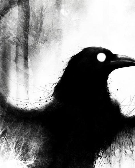 I felt it lurking in the moonlit shadows, its glossy feathers ruffled with an eerie stillness as it watched with unblinking, unnerving eyes.. . . That Crow remake trailer looks.. interesting, huh? #thecrow #creepy #crowart #darkarts Crow Eye, Crow Art, Feathers, Trailer, Felt, Quick Saves, Instagram, Art