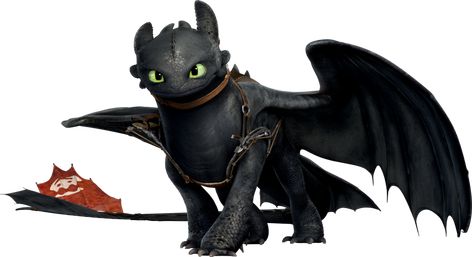 Httyd Toothless, Full Mon, Httyd 2, Disney Princess Colors, Toothless Dragon, Hiccup And Toothless, Dreamworks Dragons, Character Types, Dragon Trainer