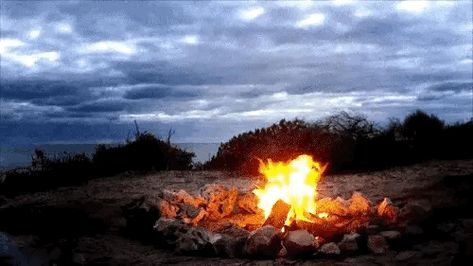 Beach Campfire GIF Campfire Gif, Light My Fire, Beltane, Nature Gif, Video Background, How To Get Warm, Relaxing Day, S Mores, Samhain