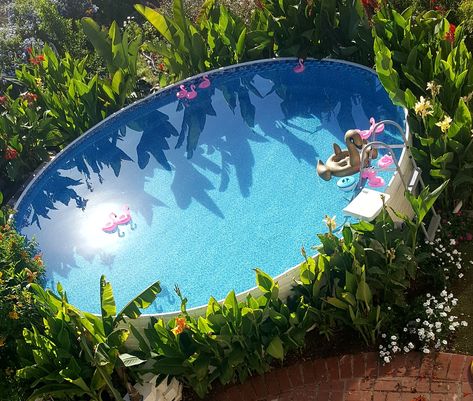 Tropical plants surrounding above ground pool. Garden Around Above Ground Pool, Above Ground Pool Plants, Above Ground Pool Landscaping Plants, Overground Pool Ideas, Overground Pool, Plants Around Above Ground Pool, Aesthetic Above Ground Pool, Small Pool Backyard, Half Buried Above Ground Pool