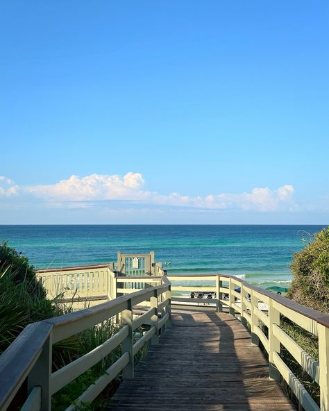 morning walk finds in rosemary beach🌞