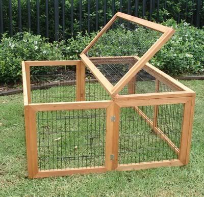 Urban Chicken Farming, Guinea Pig Hutch, Best Egg Laying Chickens, Portable Chicken Coop, Egg Laying Chickens, Chicken Tractor, Urban Chickens, Chicken Run, Best Chicken Coop