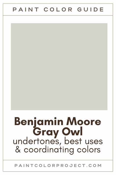 Gray Wisp Benjamin Moore Living Room, Benjamin Moore Gray Owl Cabinets, Benjamin Moore Gray Owl Living Room, Gray Owl Color Palette, Gray Owl Complimentary Colors, Grey Owl Coordinating Colors, Bm Gray Owl Coordinating Colors, Benjamin Moore Gray Owl Bathroom, Gray Owl Benjamin Moore Bedroom