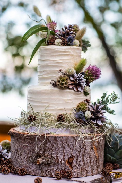 Mountain Wedding Cake, Rustic Wedding Decorations, Fondant Wedding Cakes, Cupcake Stands, Winter Wedding Cake, Wedding Decor Ideas, Floral Wedding Cakes, Wedding Cake Rustic, Rustic Wedding Cake