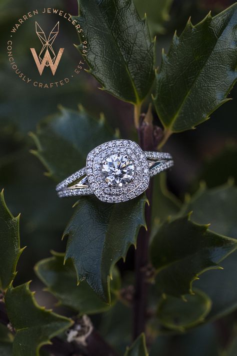 Say "Halo Gorgeous" with a double halo ring designed by YOU for YOU! 3 Carat Round Engagement Ring, Engagement Ring Side View, Double Halo Engagement Rings, Ring Side View, Wedding Ring Upgrade, Wedding Rings Double Halo, Square Halo Engagement Rings, Round Halo Engagement Ring, Double Halo Ring