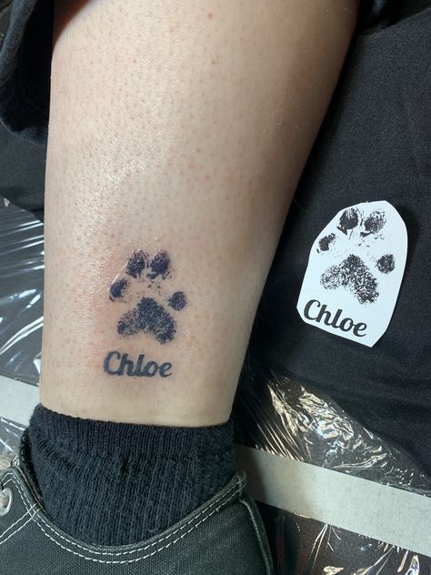 Tattoo Ideas Paws Dog Prints, Dog Paw Tattoo On Ankle, Dog Tattoo On Ankle, Pawprint Tattoo Ankle, Ankle Tattoo Paw Print, Pets Paw Print Tattoo, Actual Paw Print Tattoo, Paw Ankle Tattoo, Tattoos With Paw Prints