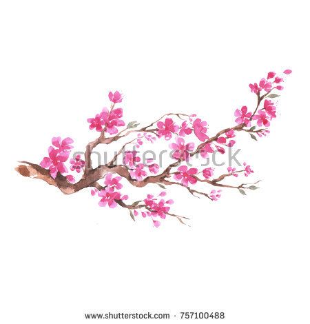 Branch of Cherry blossom , watercolor painting. Tattoo Sketches Ideas Creative, Tattoo Design Drawings Unique, Forearm Rose Tattoo, Men Tattoo Sketches, Sketches Ideas Creative, Cherry Blossom Vector, Blossom Watercolor, Cherry Blossom Wall Art, Cherry Blossom Watercolor