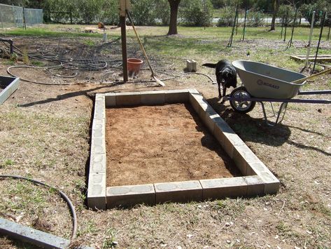 Raised chicken run base. Chicken Coop Foundation, Chickens Cute, Pier Blocks, Foundation Ideas, Coop And Run, Paver Blocks, Chicken Coup, Chicken Coop Run, Cement Blocks