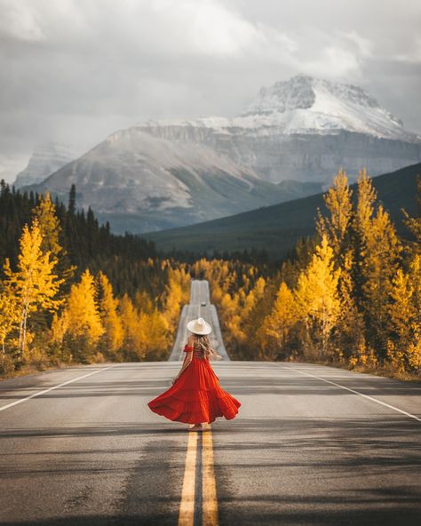 The roads in Banff is something special 🥰🍁🇨🇦 Driving the most scenic road out here in Banff will result in multiple “let’s pull over and take a pic”. Don’t say I didn’t warn you! Especially during this time of the year, the autumn colors are showing off, giving a beautiful warmth glow contrast with the snow capped mountains! It’s truly a photographer’s heaven! Although blogs I’ve read suggested a total of 3 hours to drive this scenic road, I highly recommend at least half a day to a full d... Snow Capped Mountains, Scenic Roads, Snow Caps, Autumn Colors, A Pic, Time Of The Year, The Snow, Something Special, Fall Colors