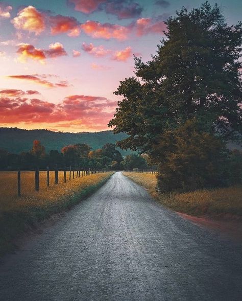 Cades Cove, Great Smoky Mountains, Nature, Backroads Aesthetic, Country Scenes, Dirt Road, Painting Photos, Southern Living, Smoky Mountains