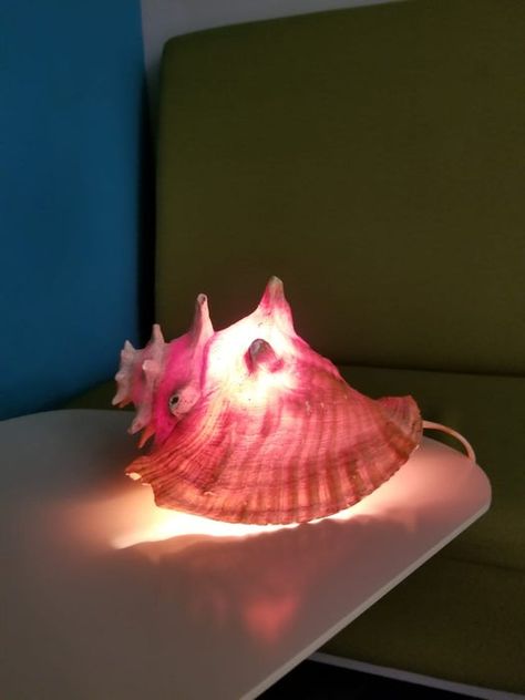 Simple Conch Shell Ambient Light : 6 Steps - Instructables Shell Lamp Diy, Conch Shell Crafts, Shell Lamps, Cement Lamp, Boho Lampshade, Shell Furniture, Bush House, Large Sea Shells, Shell Sculpture