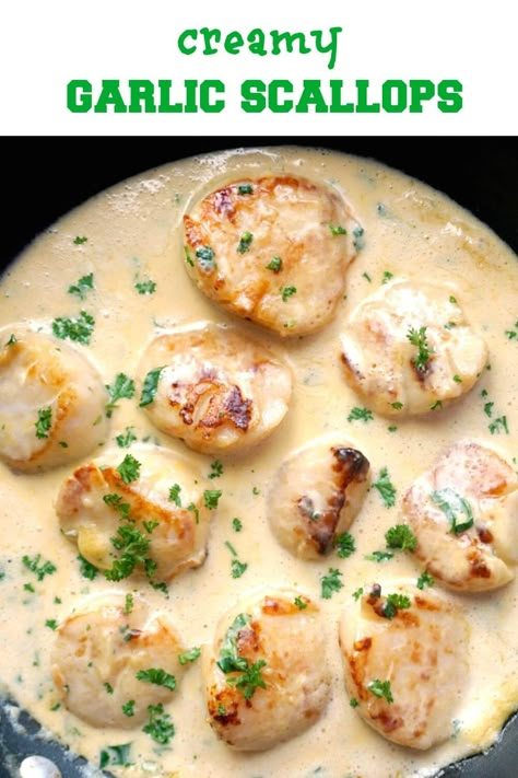 Shrimp And Scallop Pasta Cream Sauces, Creamy Garlic Scallops Recipe, Cream Sauce For Seafood Pasta, Creamy Scallops And Pasta, Scallops Cream Sauce, Scallops Pasta Recipe, Scallops In Cream Sauce, Sauce For Seafood Pasta, Seafood Cream Sauce