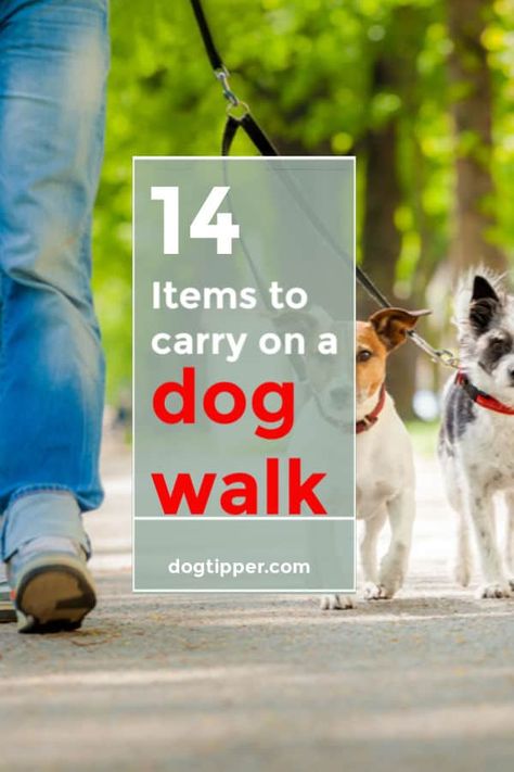 Dog Walking Flyer, Walking Essentials, Pet Sitting Business, Dog Walking Business, Walking Your Dog, Wallpaper Winter, Dog Business, Dog Walking Bag, Walking Bag