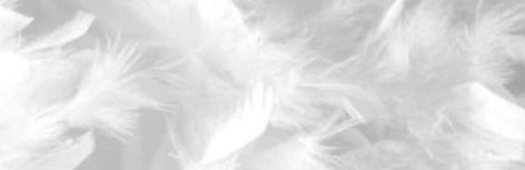 Cute White Banner Discord, Angel Aesthetic Banner, White Banner Aesthetic, Angelcore Aesthetic White, White Aesthetic Banner, Twitter Header White, Angel Banner, White Discord Banner, White Twitter Header