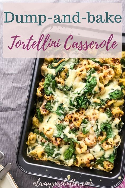 This Baked Tortellini Casserole is easy & quick to make with just 5 ingredients, and cooks itself with almost no prep. A great weeknight dinner & easy to make vegetarian! #alwaysusebutter #spinach #pastacasserole #recipe #tortellini #easy #quick via @alwaysusebutter Tortellini Bake Vegetarian, Tortellini Vegetarian Recipes, Dinner Ideas Easy Quick 5 Ingredients, Vegetarian Recipes Dinner Easy Quick, Meat Tortellini Recipes Easy Dinners, Make Ahead Tortellini Bake, Dump And Bake Recipes Vegetarian, Best Vegetarian Casseroles, 5 Ingredient Vegetarian Recipes